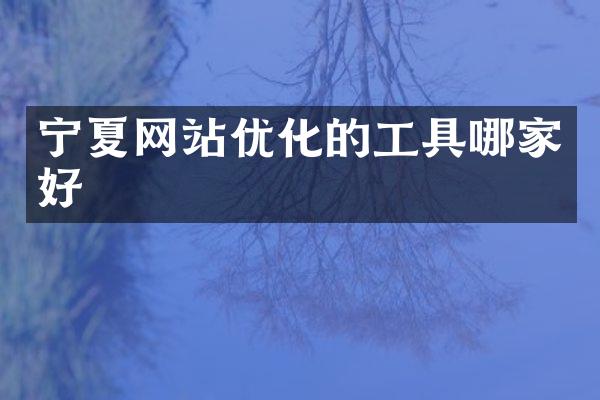 宁夏网站优化的工具哪家好