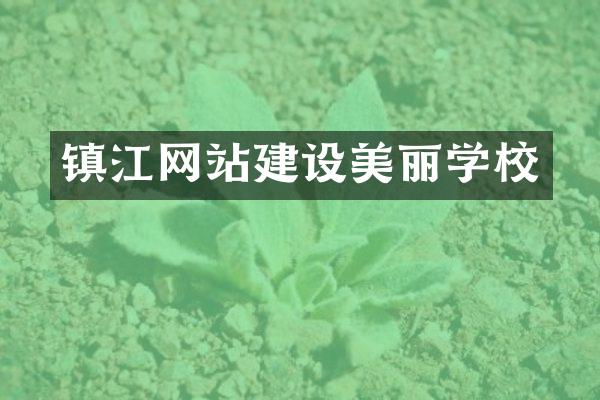 镇江网站建设美丽学校