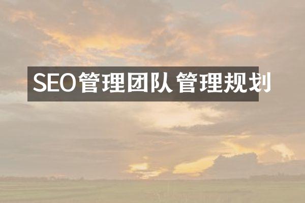 SEO管理团队管理规划