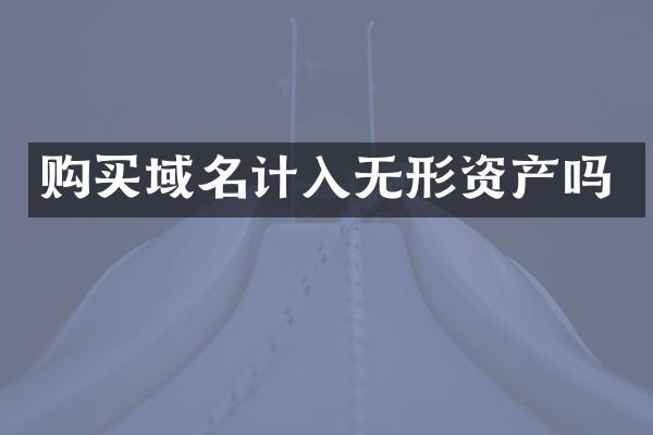 购买域名计入无形资产吗