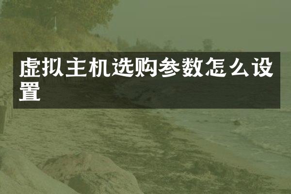虚拟主机选购参数怎么设置