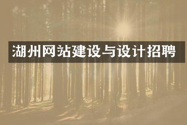 湖州网站建设与设计招聘