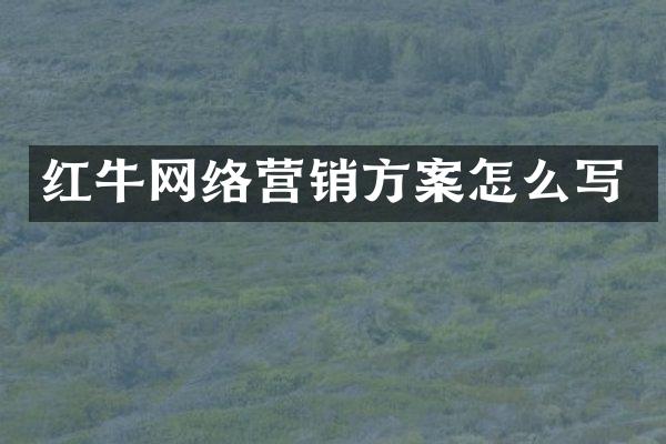红牛网络营销方案怎么写