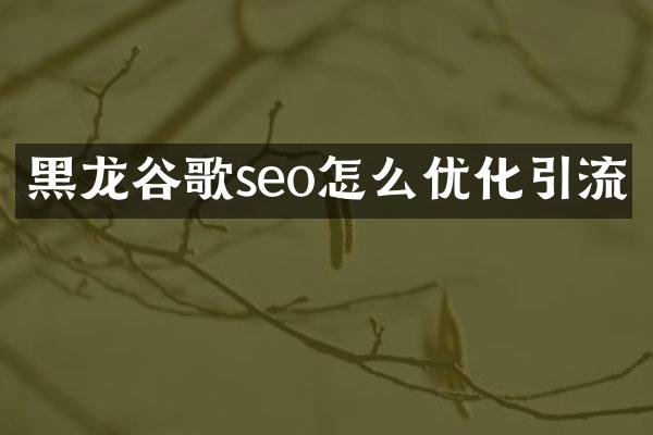 黑龙谷歌seo怎么优化引流