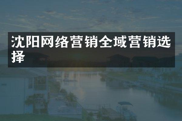 沈阳网络营销全域营销选择