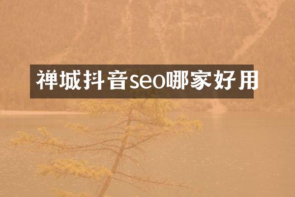禅城抖音seo哪家好用