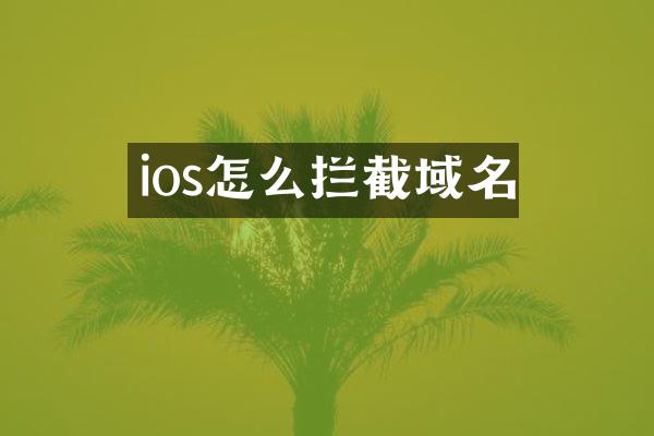 ios怎么拦截域名