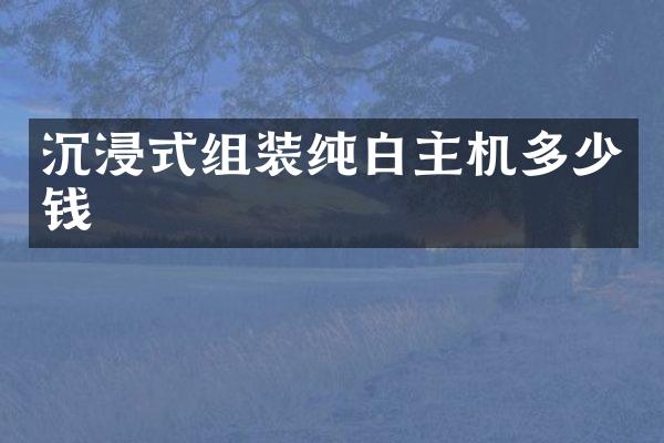沉浸式组装纯白主机多少钱