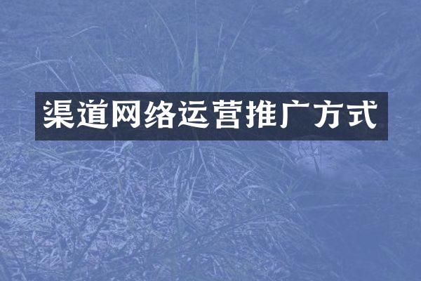 渠道网络运营推广方式