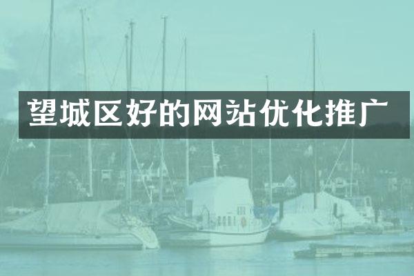 望城区好的网站优化推广