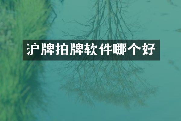 沪牌拍牌软件哪个好