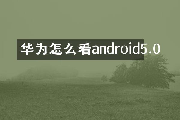 华为怎么看android5.0