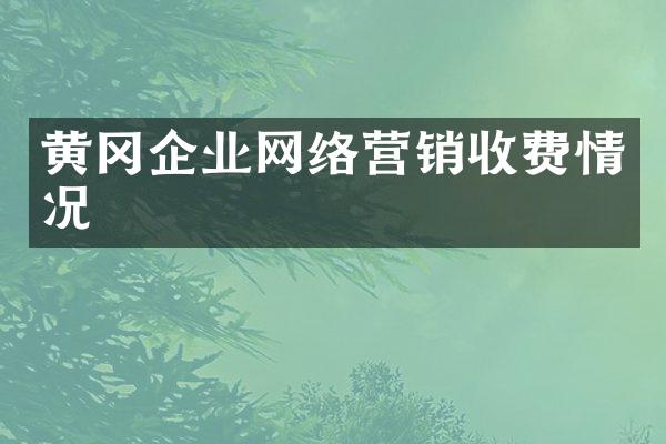 黄冈企业网络营销收费情况