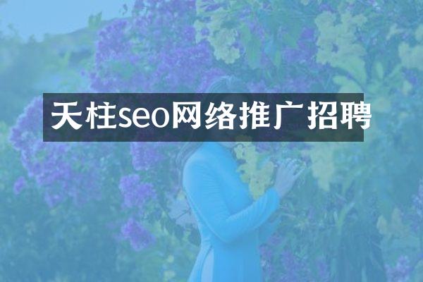 天柱seo网络推广招聘
