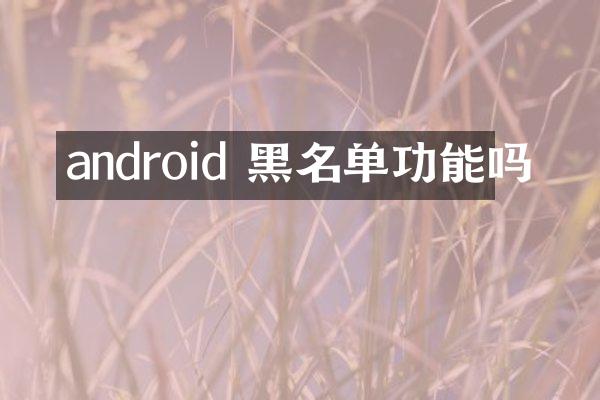 android 黑名单功能吗
