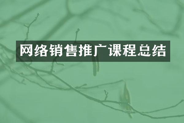 网络销售推广课程总结
