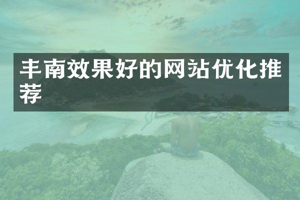 丰南效果好的网站优化推荐
