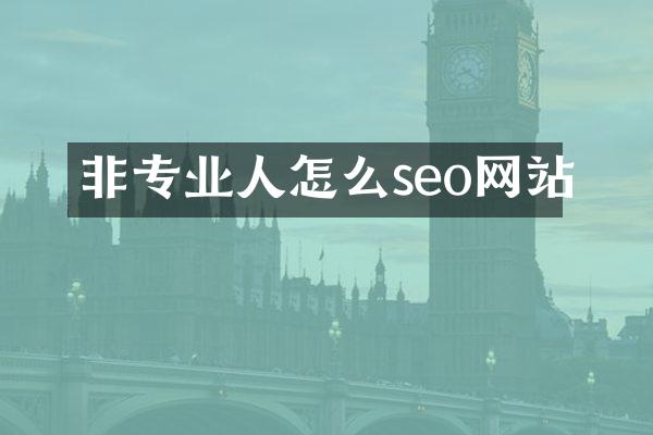 非专业人怎么seo网站