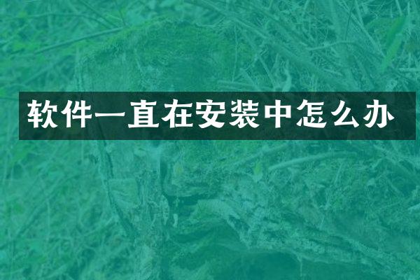 软件一直在安装中怎么办