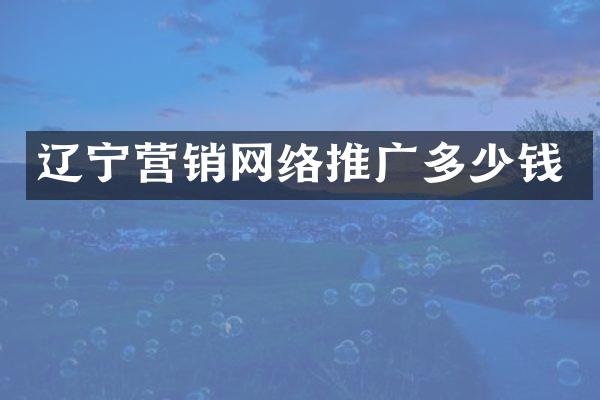辽宁营销网络推广多少钱