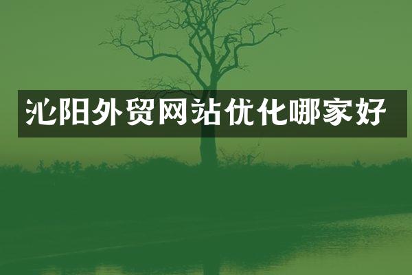 沁阳外贸网站优化哪家好