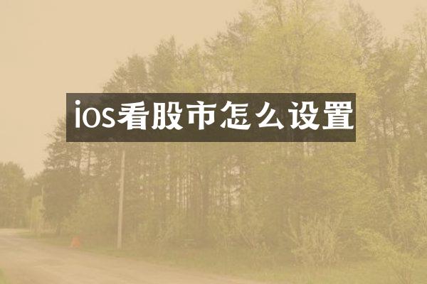 ios看股市怎么设置