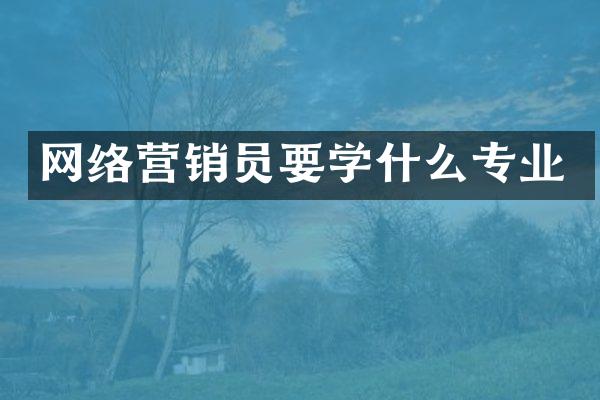 网络营销员要学什么专业