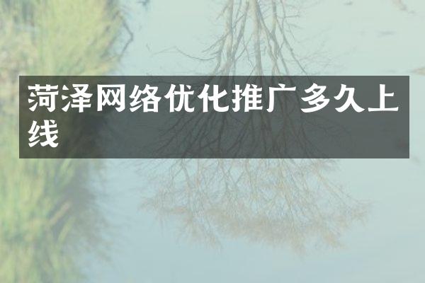 菏泽网络优化推广多久上线