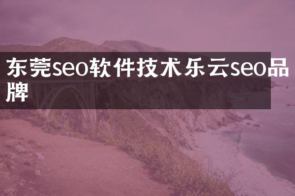 东莞seo软件技术乐云seo品牌
