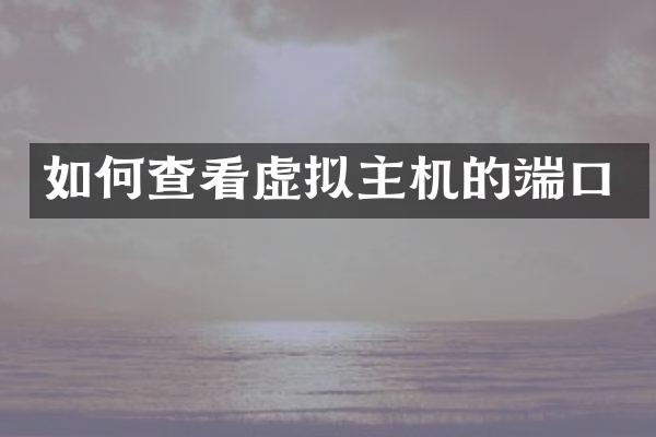 如何查看虚拟主机的端口