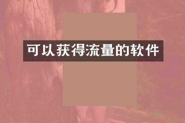 可以获得流量的软件