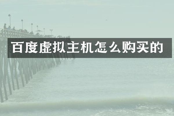 百度虚拟主机怎么购买的