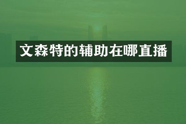 文森特的辅助在哪直播