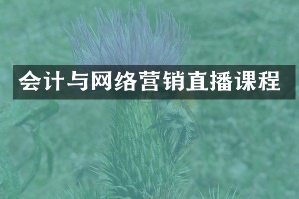 会计与网络营销直播课程
