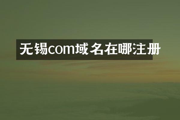 无锡com域名在哪注册