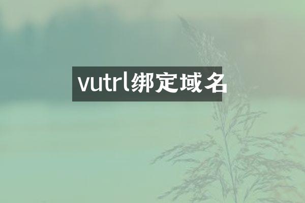 vutrl绑定域名