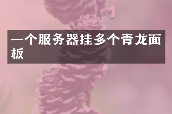 一个服务器挂多个青龙面板
