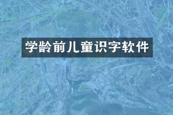 学龄前儿童识字软件