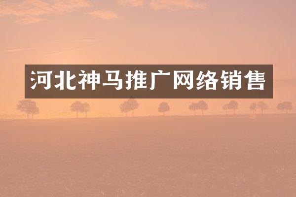 河北神马推广网络销售