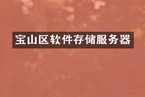 宝山区软件存储服务器