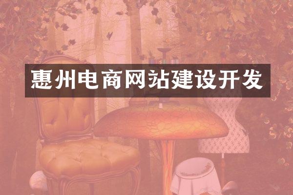 惠州电商网站建设开发