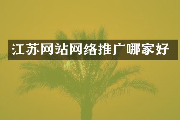 江苏网站网络推广哪家好