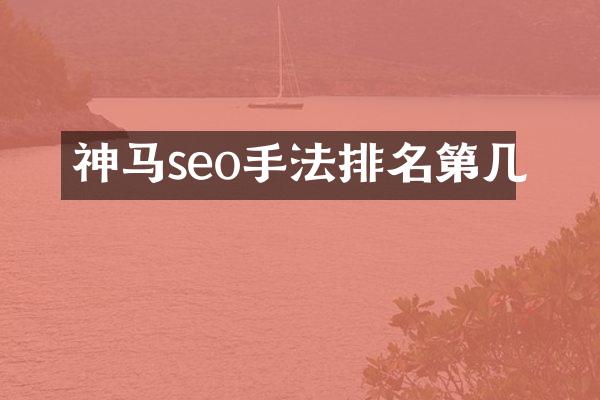 神马seo手法排名第几