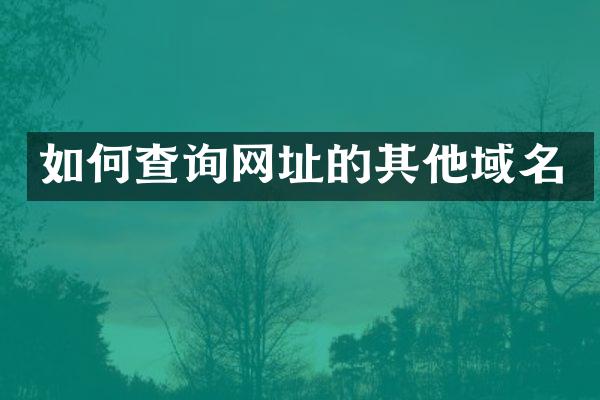 如何查询网址的其他域名