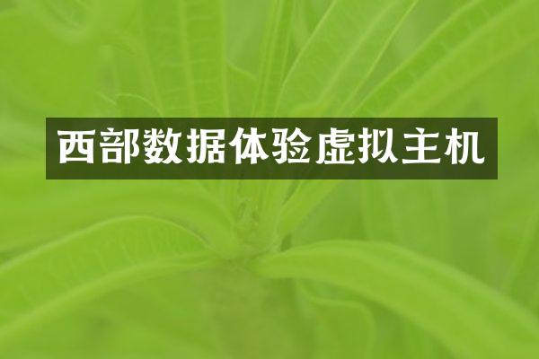 西部数据体验虚拟主机
