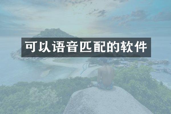 可以语音匹配的软件
