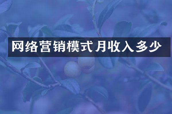 网络营销模式月收入多少