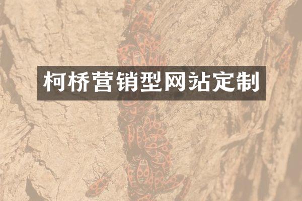 柯桥营销型网站定制