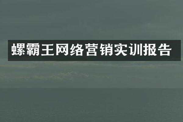 螺霸王网络营销实训报告