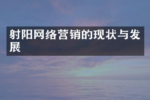 射阳网络营销的现状与发展
